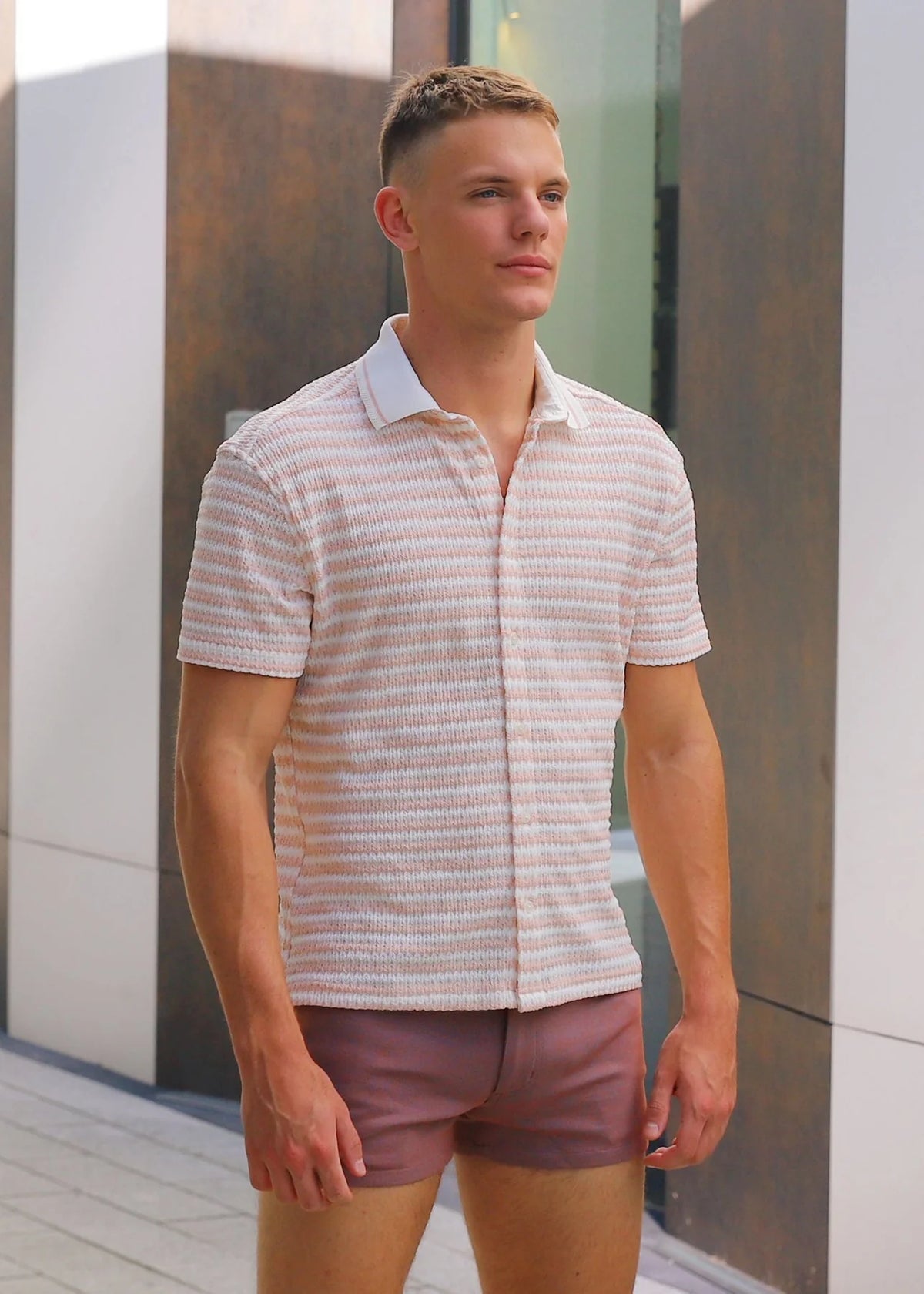 Zigzag Knit Shirt (Parfait/White)