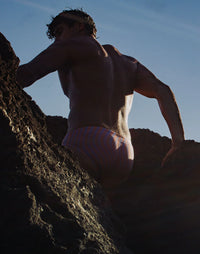 Dolce Swim Brief V10 (Purple)