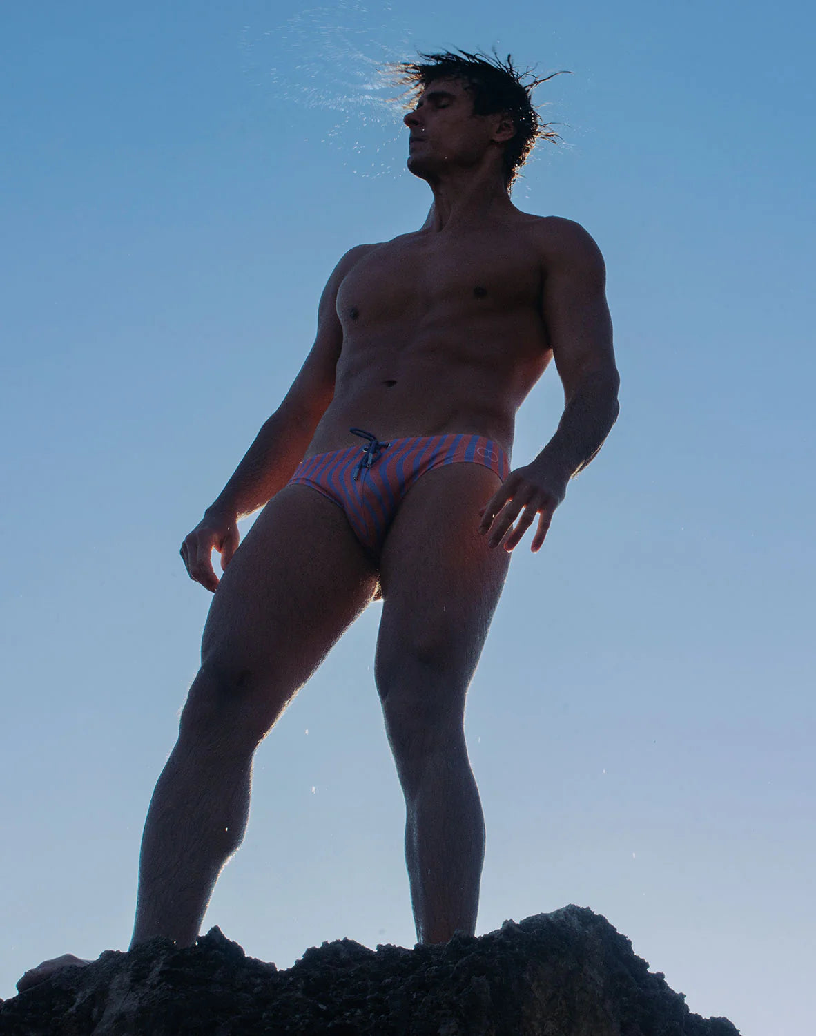 Dolce Swim Brief V10 (Purple)