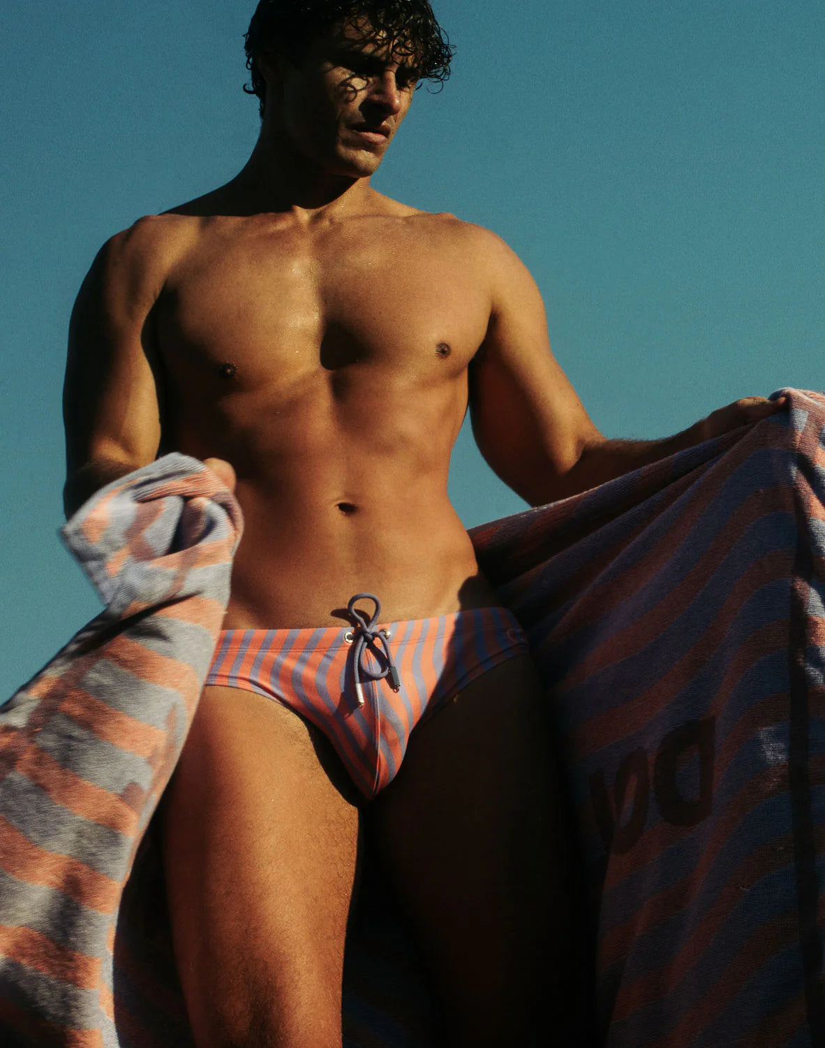 Dolce Swim Brief V10 (Purple)