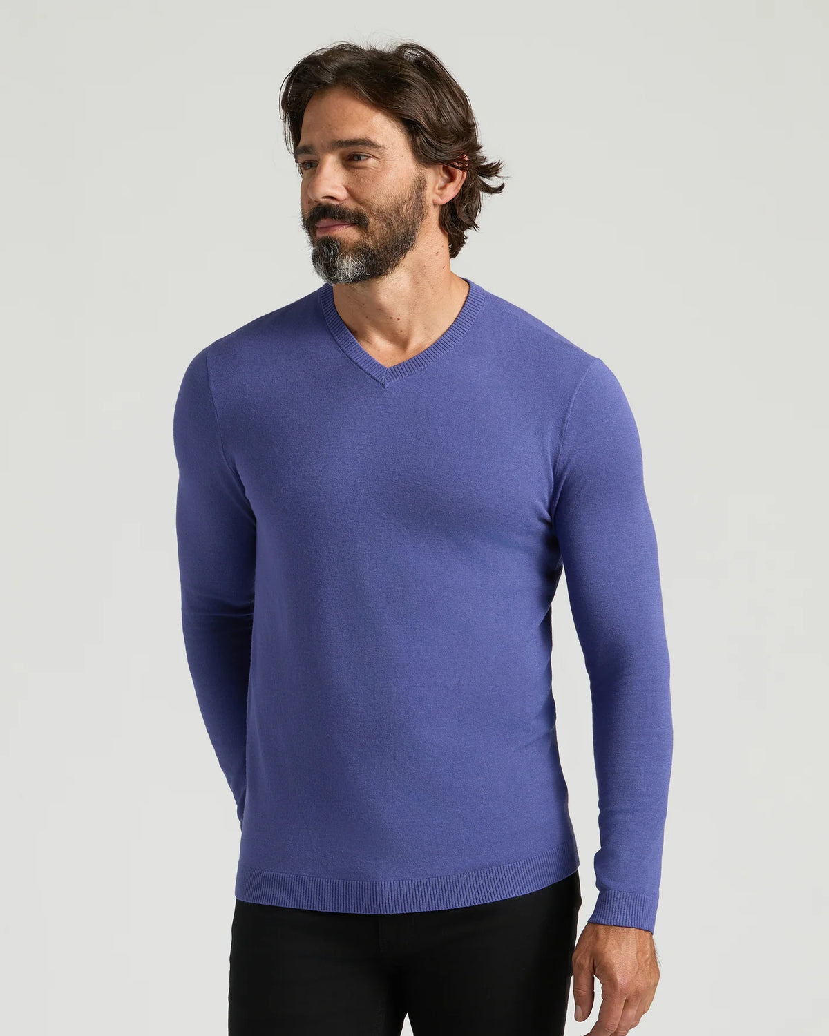 Dressy V-Neck Sweater (Blueberry)