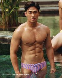 Dolce Swim Brief V10 (Purple)