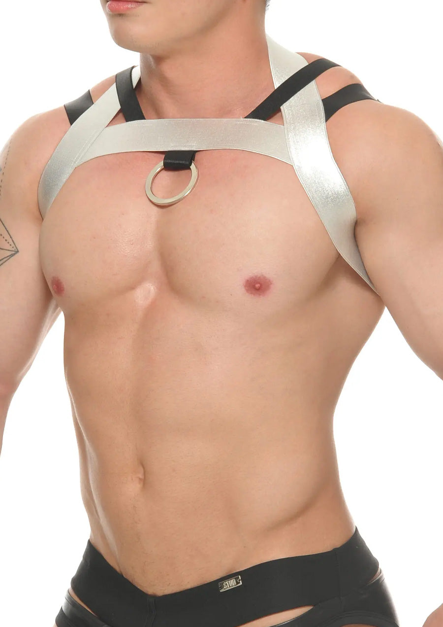 Faust Harness (Silver)