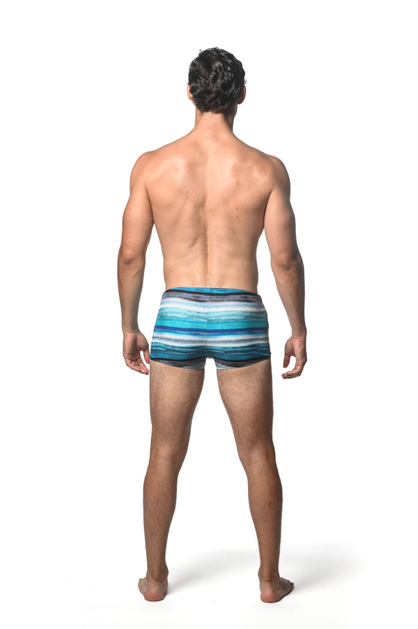 Printed Swim Trunks (Teal Blue Stripes)