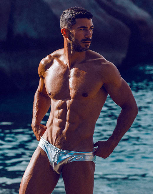 Silver Metalux Swim Brief (V30)