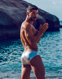 Silver Metalux Swim Brief (V30)