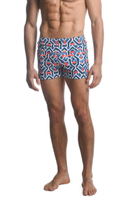 Printed Swim Shorts (Red Arrows)