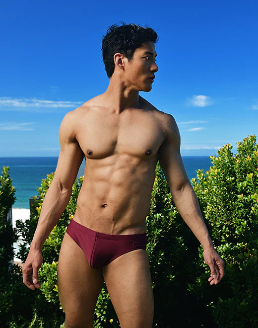 Tawny Port Core Swim Brief (V10)