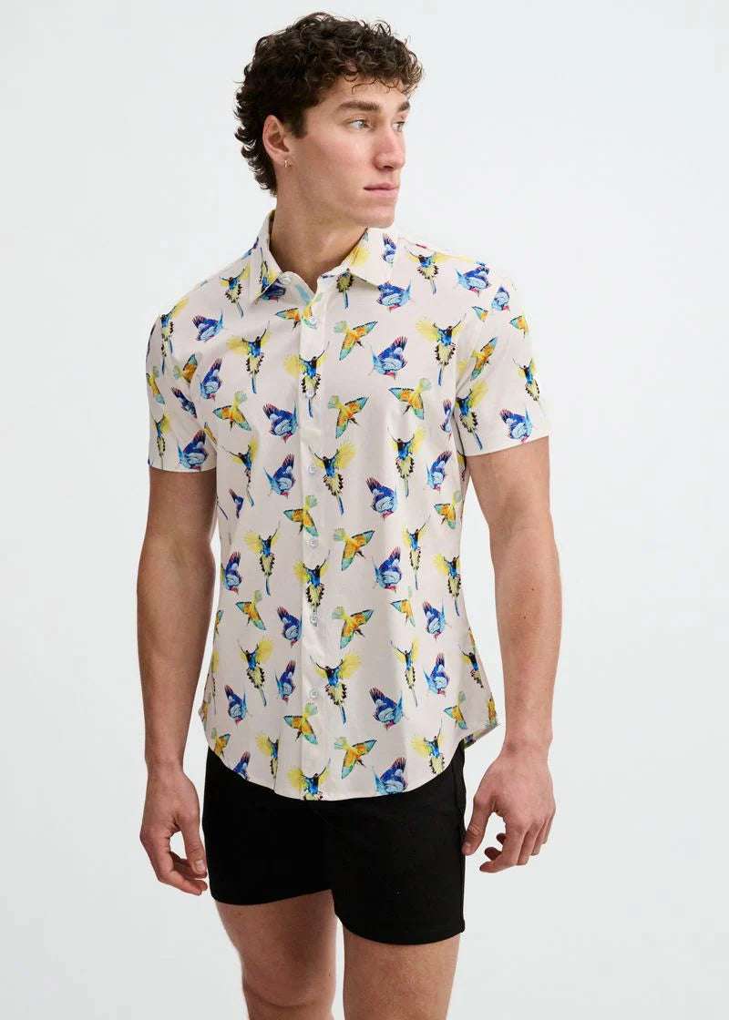 Print Cotton Knit Shirt (Blue/Yellow Birds)