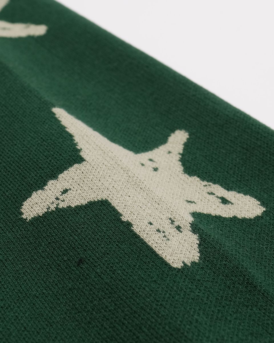 Dexter Cardigan Sweater (Green)