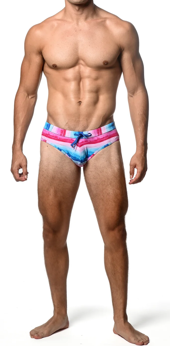 Pattern Swim Brief (Fuchia/Cobalt Stripe)