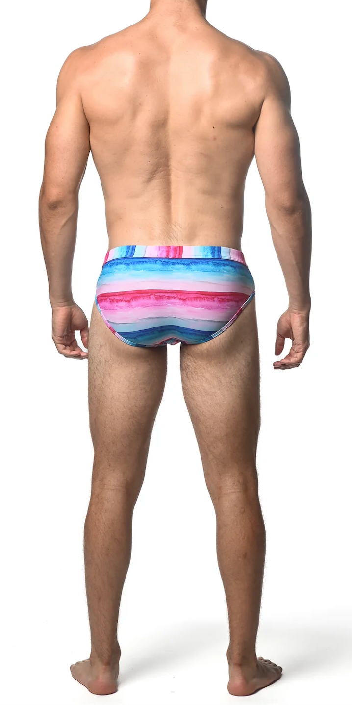 Pattern Swim Brief (Fuchia/Cobalt Stripe)