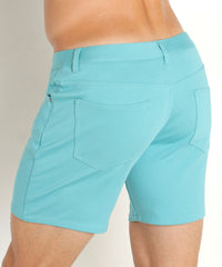 Stretch Knit Shorts (5" inseam) (Nile Teal)
